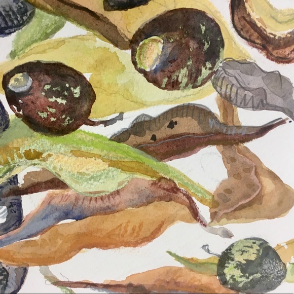 ⭐️Posh Ambassador⭐️    Meet your Posher, Marianne - Picture 3 of 4